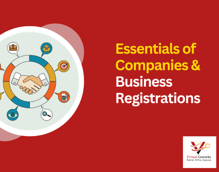 Essentials of Companies and Business Registrations