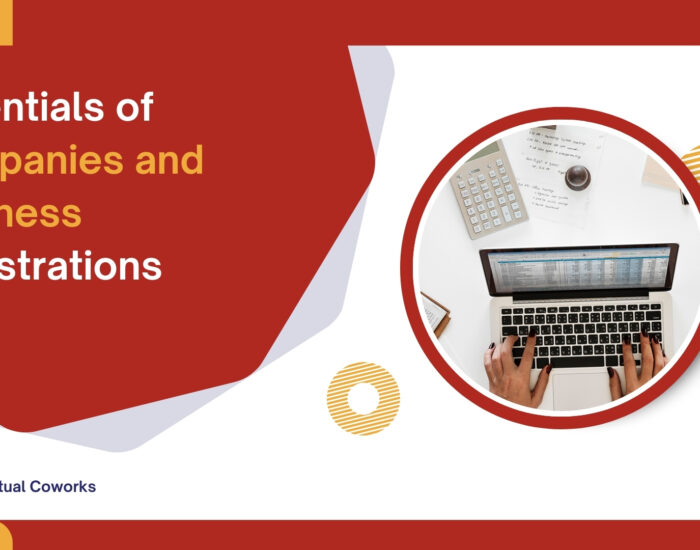 Essentials of Companies and Business Registrations